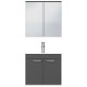 RUBITE 60 cm meuble salle de bain anthracite simple vasque 2 portes + miroir armoire